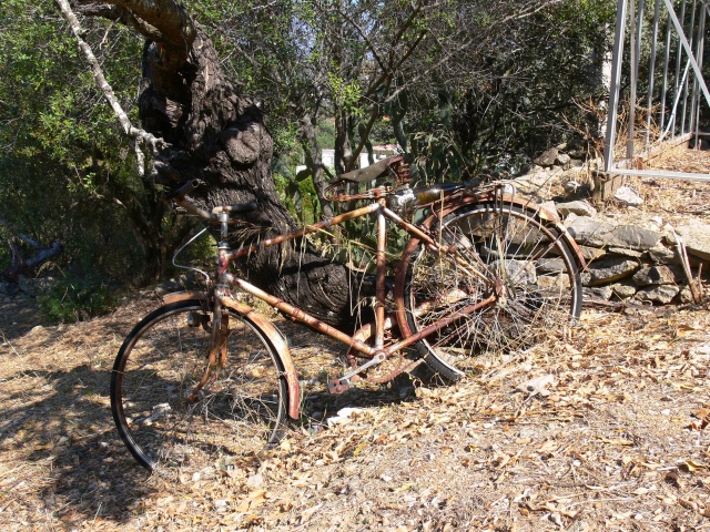 fiets