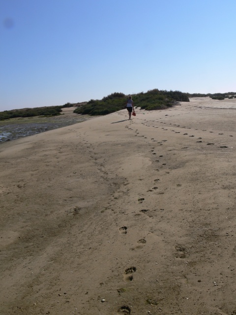 Ilha da Armona