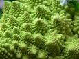 romanesco