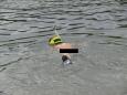 snorkelen