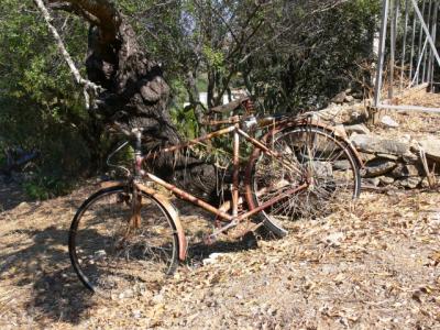 fiets