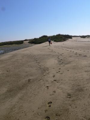 Ilha da Armona