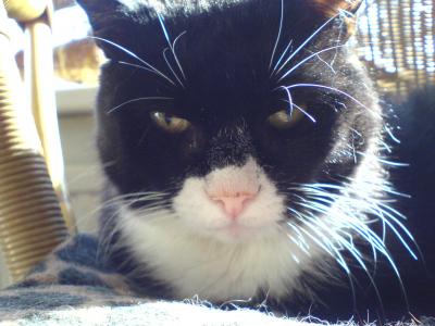 Gijs(17)