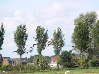 8ergrond te druk