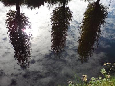 licht in de sloot