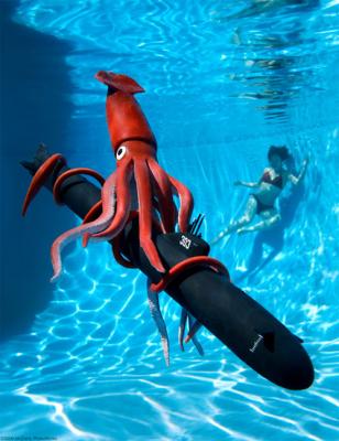squid